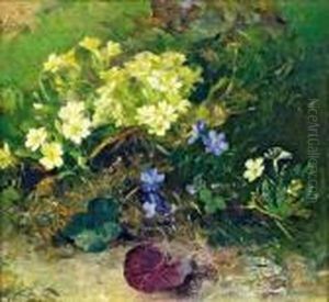 Blumenstuck Mit Primeln Und Leberblumchen