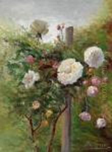 Rosen