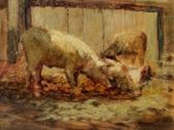 Schweine Im Stall - view 1