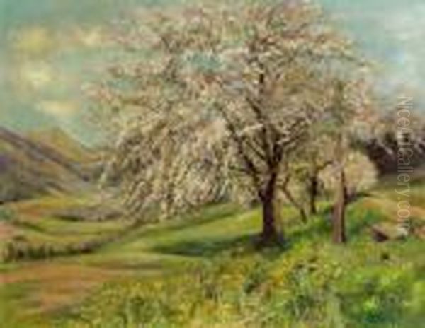 Bluhender Birnbaum - view 1