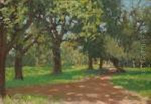 Parnu. Park Parnu. Park
