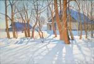 Sunlight On The Snowfall