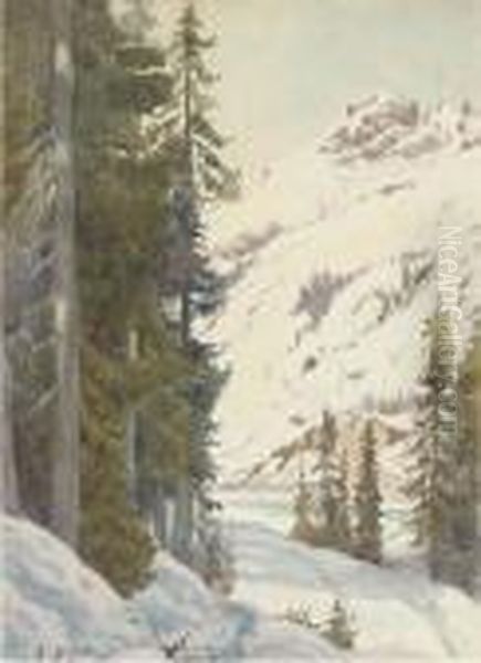 An Alpine Winter Landscape - view 1