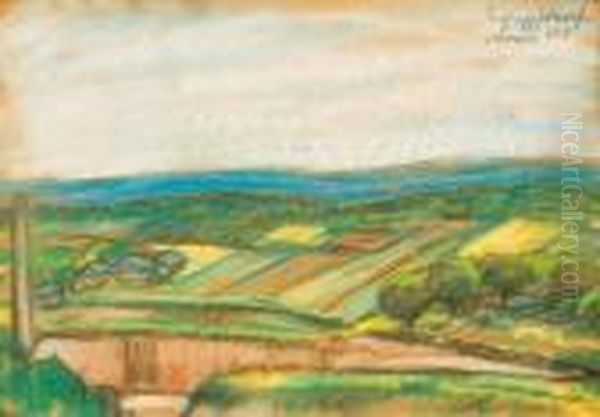 Spring (budafok) - view 1