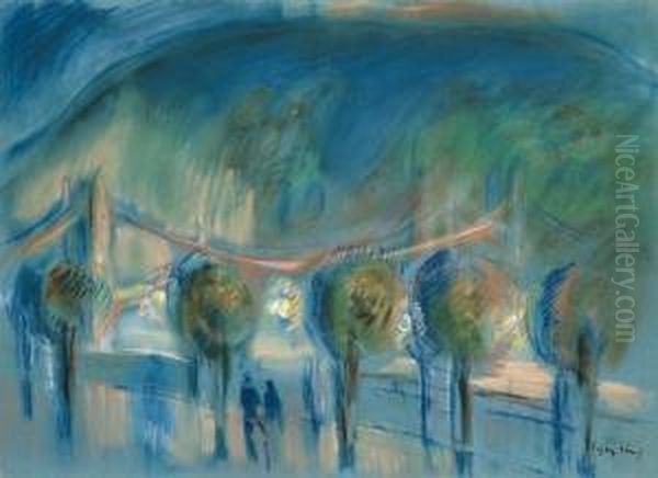 Evening Lights On The Bank Of The River Danube - view 1