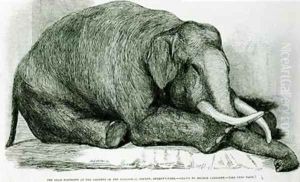 The Dead Elephant at the Gardens of the Zoological Society Regents Park by George Landseer