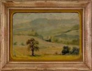 Landscape Landscape