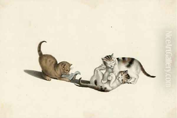 Playful kittens - view 1