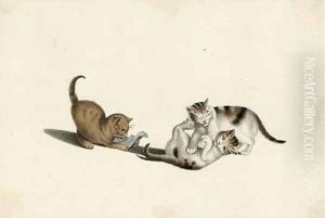 Playful kittens by A. Lamy