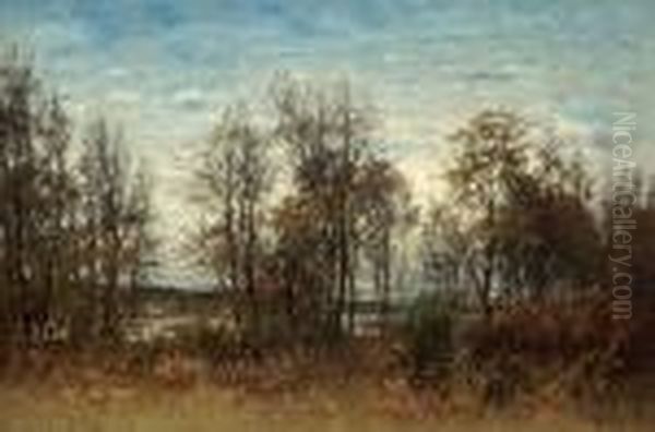Latesummer Landscape From Djurgarden - view 1
