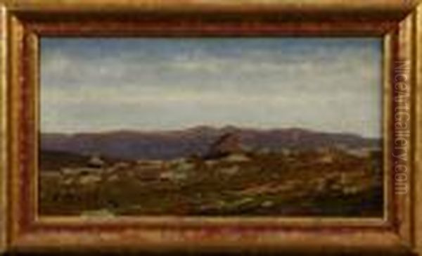 Bergslandskap - view 1