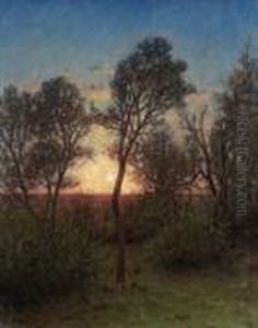 Landskap I Solnedgang