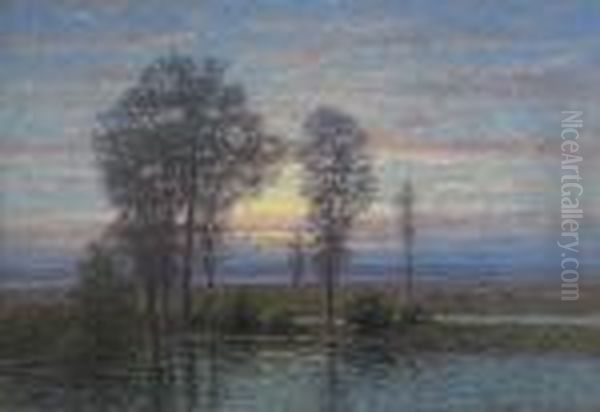 Olandskt Landskap I Soldis - view 1