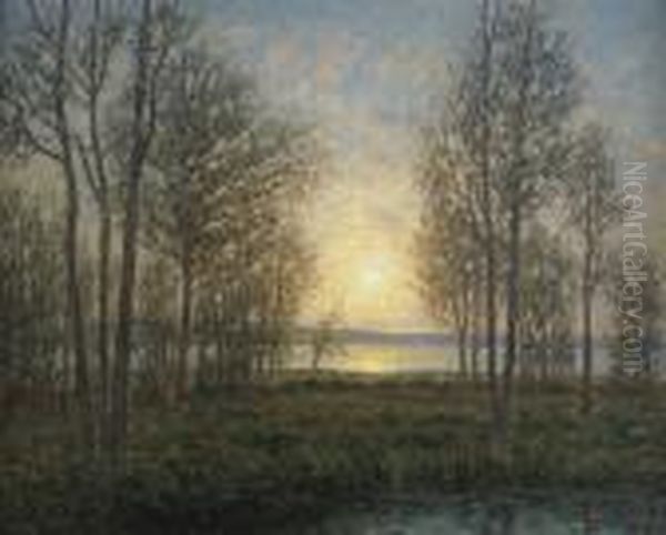 Solens Stralar Genom Traden - Oland - view 1