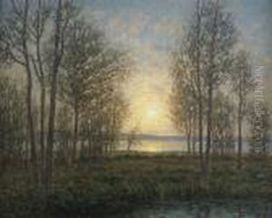 Solens Stralar Genom Traden - Oland