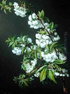 A Sprig of White Blossom A Sprig of White Blossom