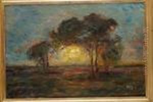 Solbelysta Trad by Per Ekstrom