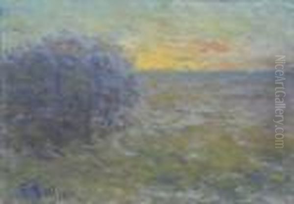 Solglitter. - view 1