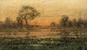 Solnedgang