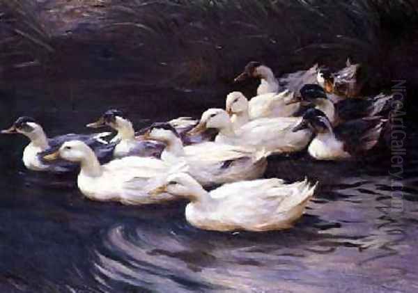Ducks - view 1