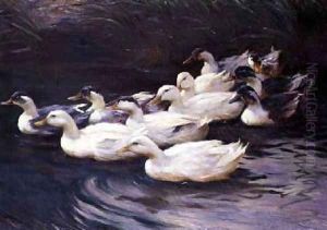 Ducks by Karl Lindner