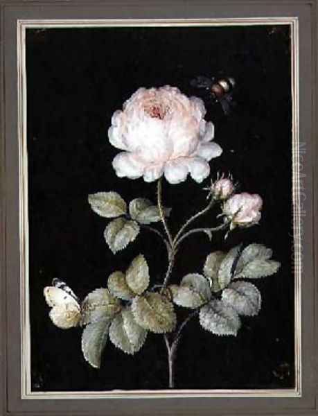 Rose with Bumble Bee and Butterfly - view 1
