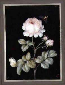 Rose with Bumble Bee and Butterfly by Ernst Friedrich Carl Lang