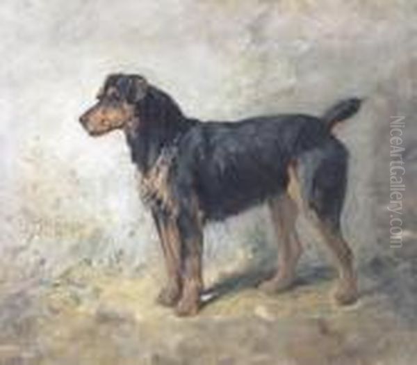 A Terrier - view 1