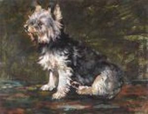 Study Of A Terrier by John Emms