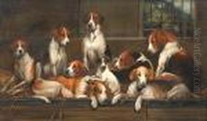 Group Of Hounds