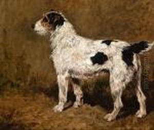 A Wire-haired Fox Terrier by John Emms