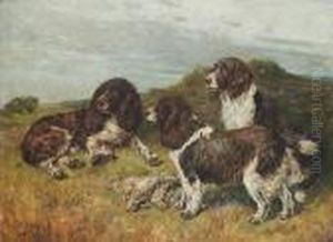 Springer Spaniels On A Moor Springer Spaniels On A Moor
