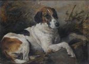 A Study Of The Fox Hound 'nick'