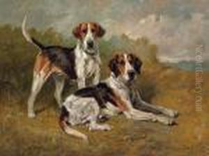 Two Hounds Resting by John Emms