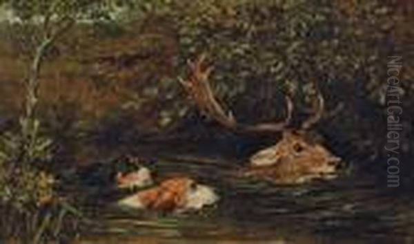 A Stag At Bay - view 1