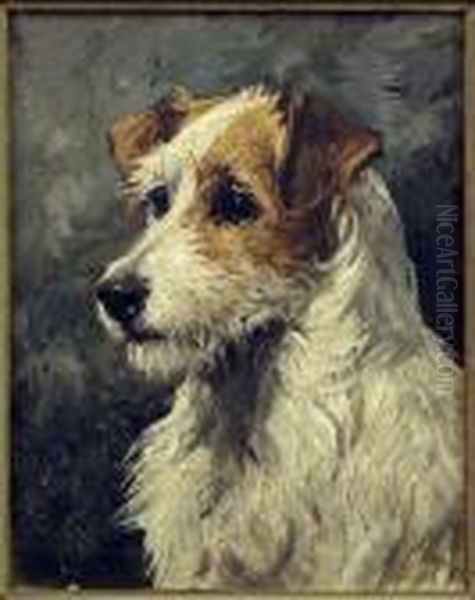 Terrier's Head - view 1