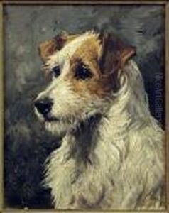Terrier's Head