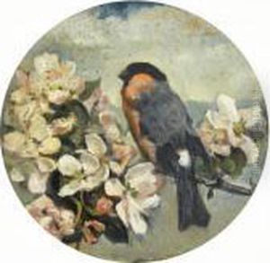 Study Of A Bullfinch On Apple Blossom by John Emms