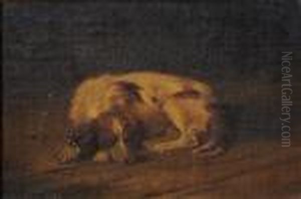 A Sleeping Hound. - view 1