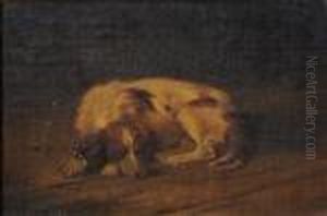 A Sleeping Hound. by John Emms