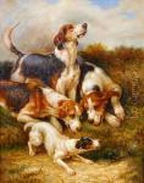 Fox Hounds And Jack Russell 'at The Earth' - view 1