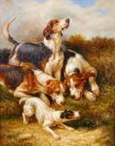 Fox Hounds And Jack Russell 'at The Earth'