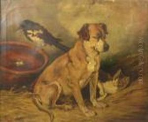 A Dog With A Kitten And A Magpie In