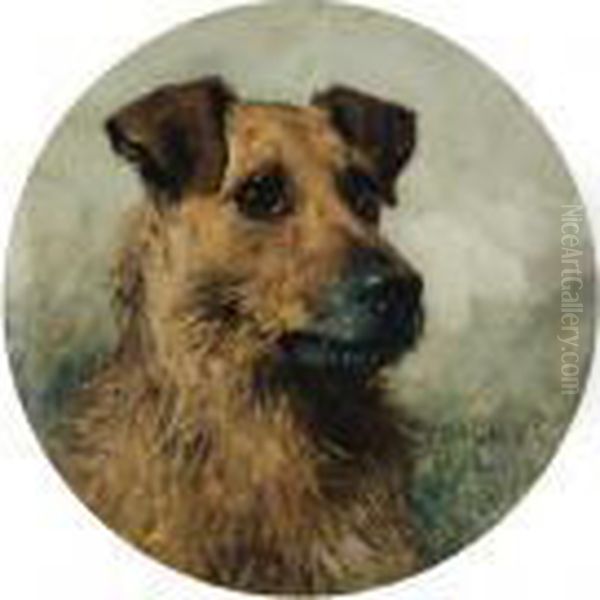 Terrier - view 1