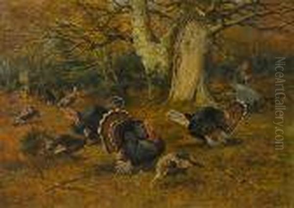 Turkeys In A Wood - view 1