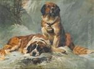 Brave Companions