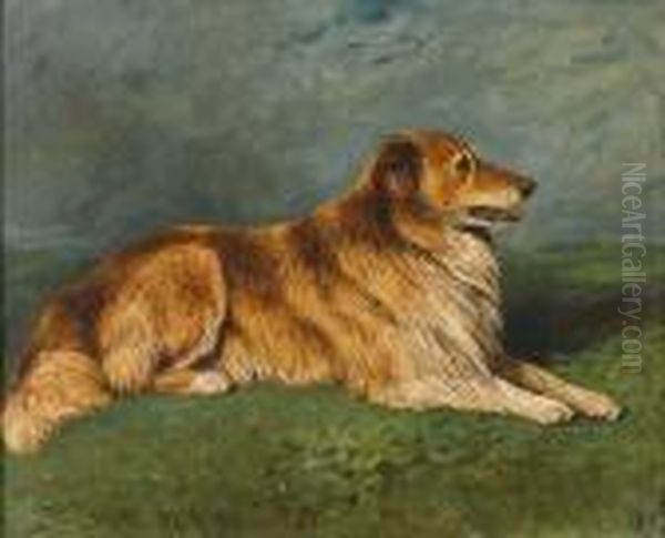 Roy - A Collie In A Landscape - view 1