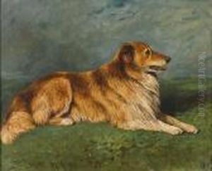 Roy - A Collie In A Landscape Roy - A Collie In A Landscape