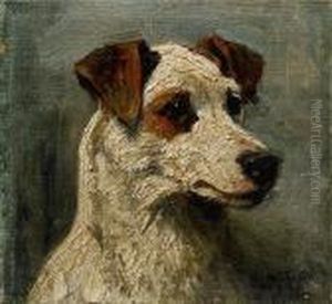 Head Study Of A Hunt Terrier