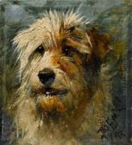 Head Of A Terrier - view 1